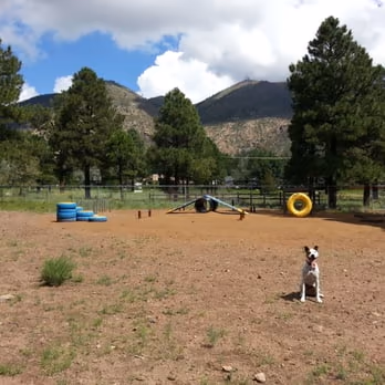Barkmaster Dog Park